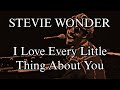 STEVIE WONDER - I Love Every Little Thing About You (Lyric Video)