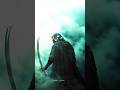 Ali Wale #youtube #shortvideo #suscribe #yaali #love #islamic #videoviral