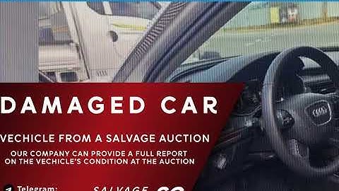 WAUZZZ4G6EN134642. Audi