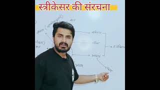 स्त्रीकेसर की संरचना #अंडप #pistil #class12 #biology #science #flower #Rakesh Gautam #BIO WAVE #neet
