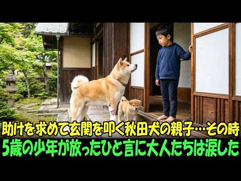 【奇跡の実話】助けを求めて玄関を叩く秋田犬の親子…その時、5歳の少年が放ったひと言に大人たちは涙した