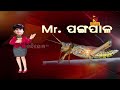 Mr PANGAPALA || PRAGYAN || SANKAR || ODIA COMEDY VIDEO || Nandighosha TV