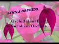 My Burnham's Orchid Haul - What did I buy?