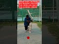 HOW TO PLAY THE SWEEP SHOT IN CRICKET IN HINDI.#cricket #sweepshot