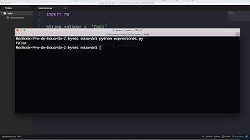 Expresiones regulares con Python - Bytes