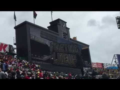 甲子園から速報★令和最初のスタメン発表！！ Hanshin tigers