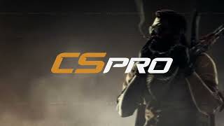 Famous CSPro Net Worth