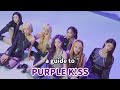 a (hopefully) helpful guide to purple kiss