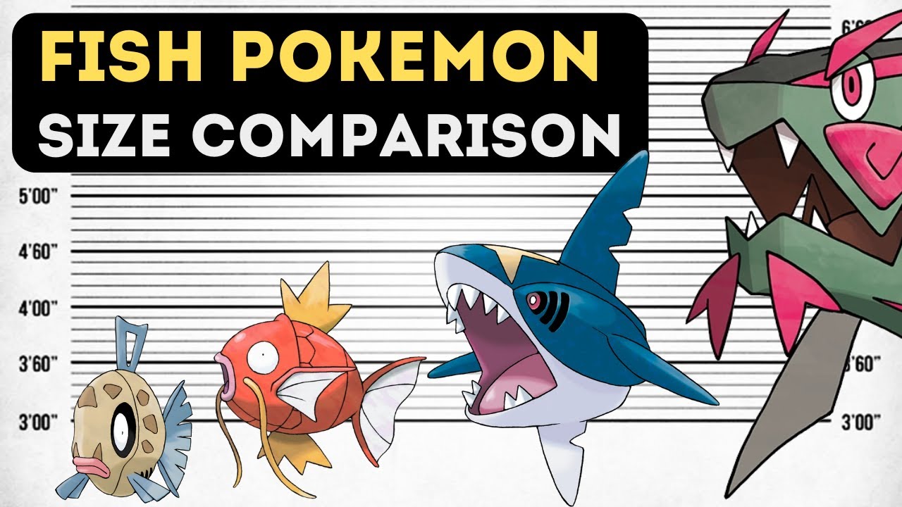Fish Pokemon - Size Comparison