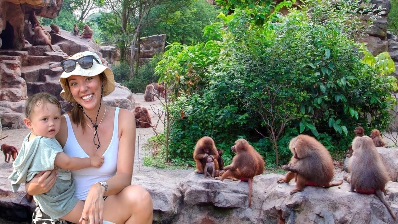 The Best Zoo in the World! 🦒🦁🐒