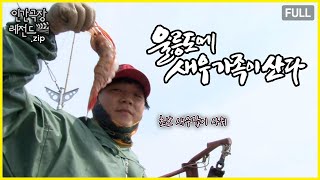 장인어른에게 배우는 새우잡이  '울릉도에 새우 가족이 산다' 몰아보기 | 인간극장 레전드.zip [KBS 방송]