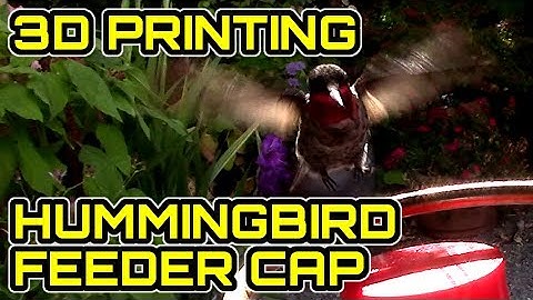 3D Printing a Hummingbird Feeder Cap / Lulzbot Mini