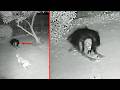 Scientists Still Cannot Explain These Disturbing Discoveries