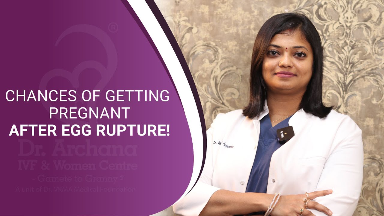 Chances Of Getting Pregnant After Egg Rupture Dr Archana S chances-of-getting-pregnant-after-egg-rupture-dr-archana-s