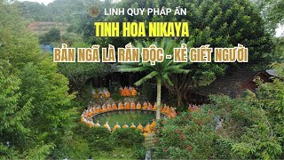 Tinh Hoa NIKAYA- Bản Ngã Là Rắn Độc - Kẻ Giết Người *