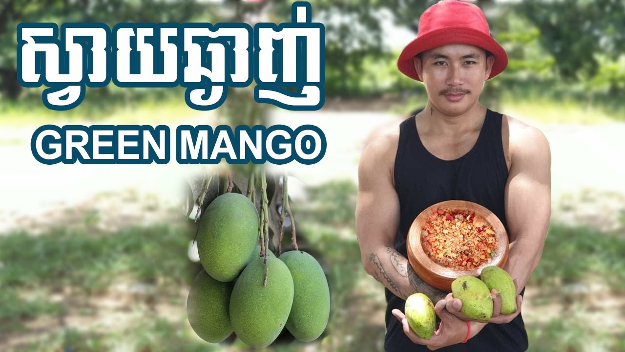 Манго фуд зато. Манго фуд зато