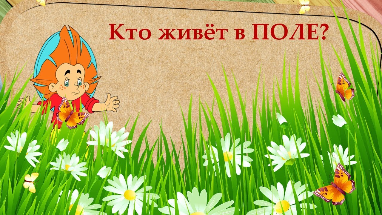 Загадки про поле