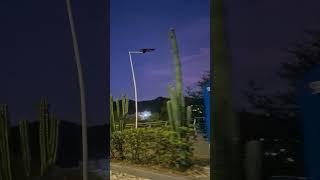 sendero del Ziruma sin iluminación #santamarta #noticias #denuncia
