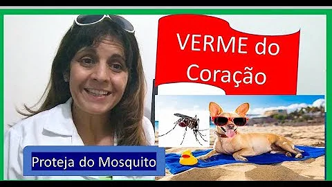 O que é verme no coração do cachorro?