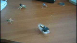 bristlebot vs bugs (ff7 style)
