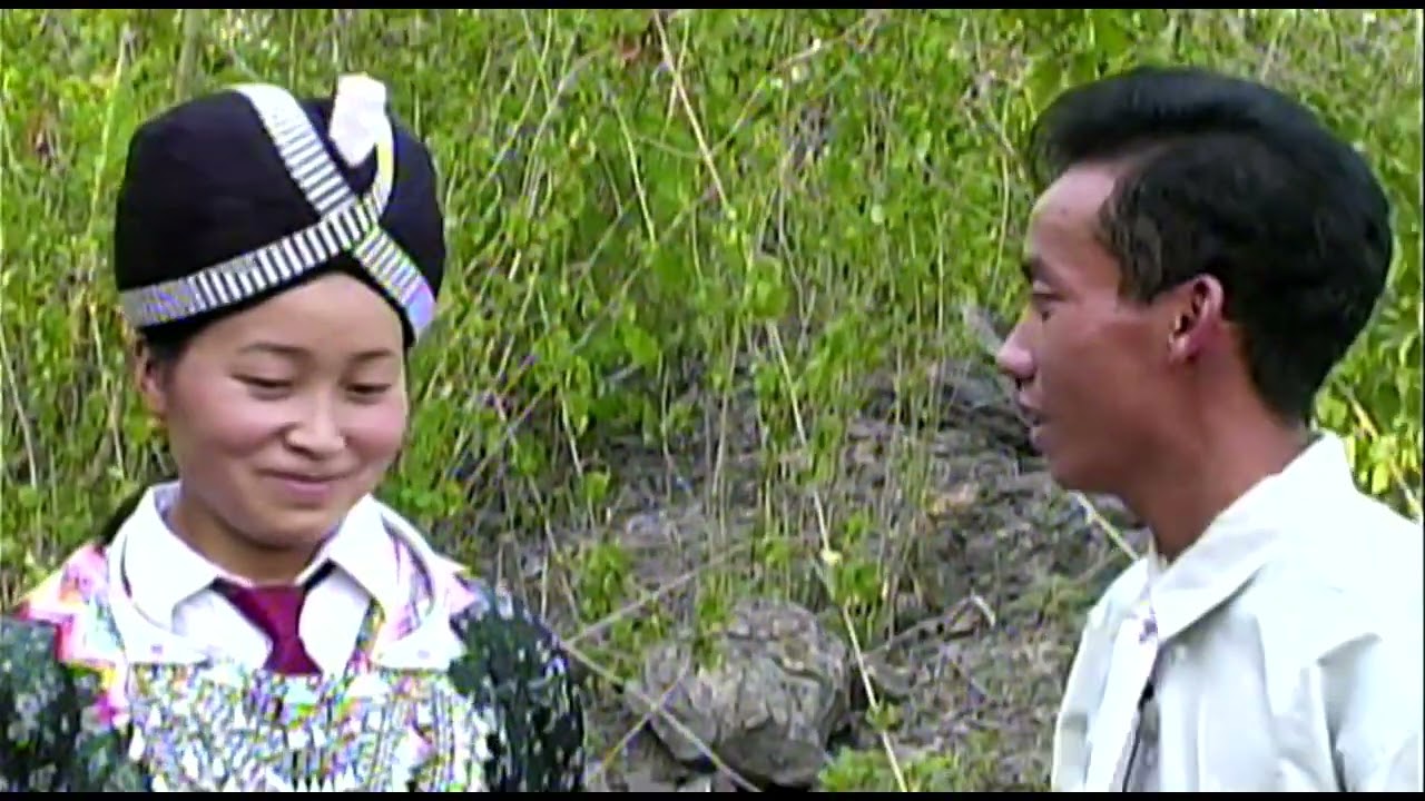 Kwv Txhiaj Nkauj Koom Zej Nraug Koom Zos Tus Hais Zoov Yaj Thiab Maiv Ntsuab Vaj