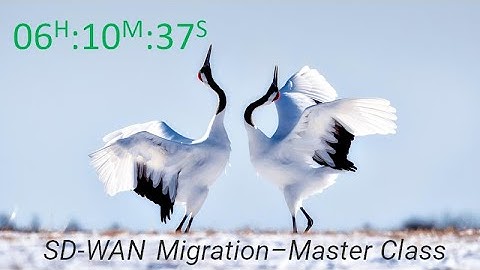Cisco SD-WAN Migration -- Master Class