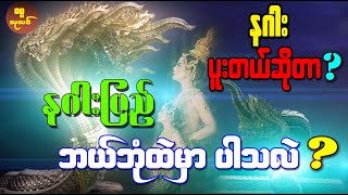 နဂါးပြည်ဆိုတာ ဘယ်ဘုံထဲမှာ ပါပါသလဲဘုရား ? နဂါးဝင်ပူးတယ်ဆိုတာ ဘယ်လိုမျိုးလဲ ?