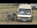 Y ESA FURGONETA? 2º ENCIERRO por el campo en HORCHE (FERIA CHICA) 2019