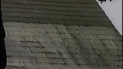Removing Algae Stains From Roof Shingles