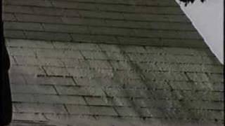 Removing Algae Stains From Roof Shingles screenshot 3