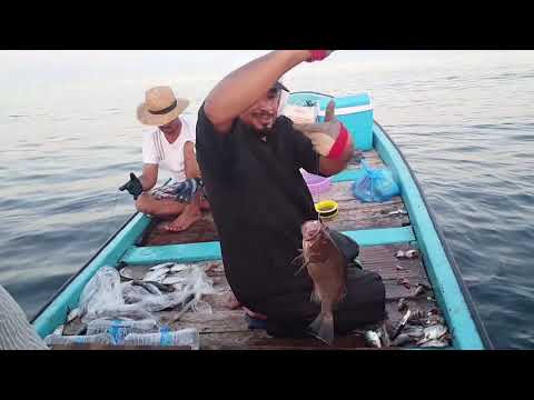 مقطع صيد من رحلة الى الشامخية جزيرة مصيرة 2017