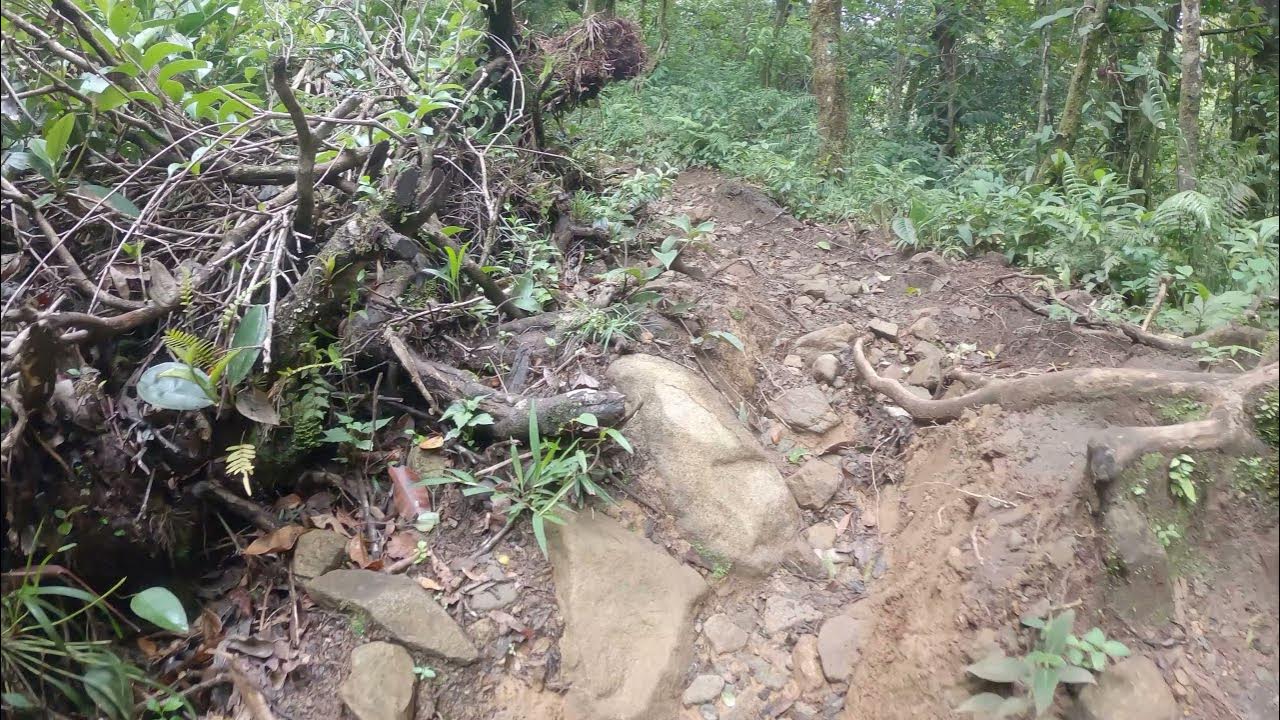 El Pianista (Entrance Mirador) Part 2/4 YouTube