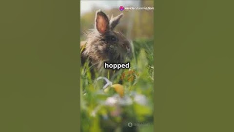 Fun Adventures with Benny the Bunny! #chatgpt #technology #aitools #smartphone #web3 #tech #facts