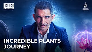 Are plants the gateway to the mind? | Decoded