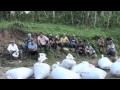 Hawit family coffee farm yoro honduras