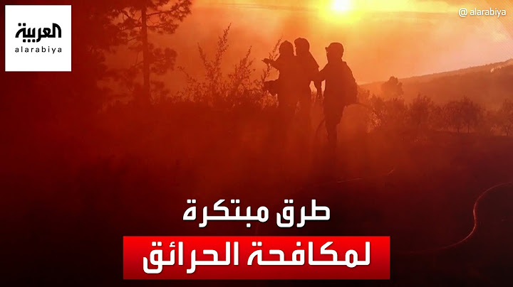 التاسعة هذا المساء | استمرار جهود مكافحة حرائق الغابات في العالم.. ماذا يفعل رجال الإطفاء؟