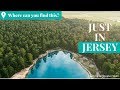 Uncover hidden beauty, history and mystery within New Jersey's Pine Barrens | Just in Jersey