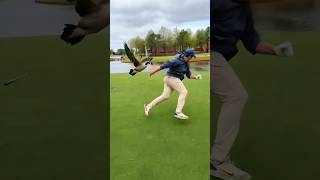 Неожиданная атака птицы! 🐦😂#птицы #прикол #видео #shorts #hunting #g4outdoors