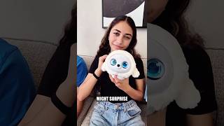 We just got our Ropet, and it's being a part of our family! Amazing!