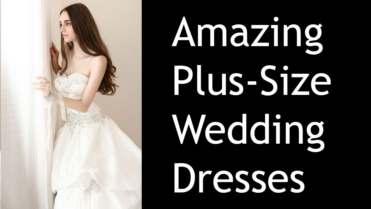 Plus Size Wedding Dresses Austin Texas Youtube
