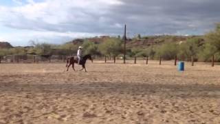 Ruby barrel training