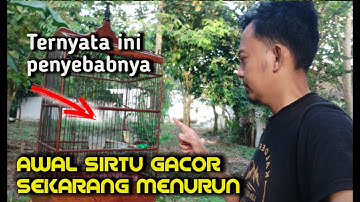 Ternyata ini penyebab sirtu macet bunyi