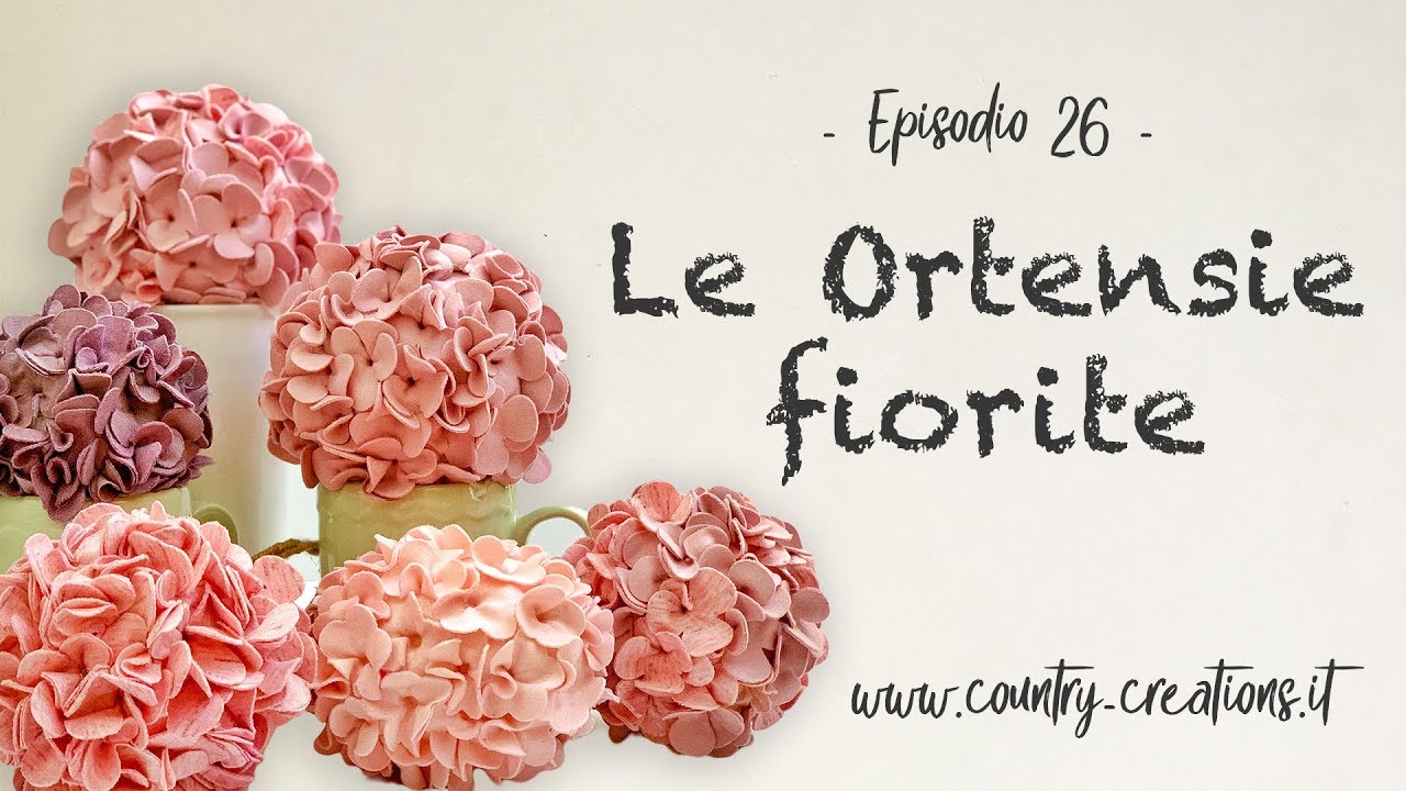 🌸 Le ortensie fiorite 🌸