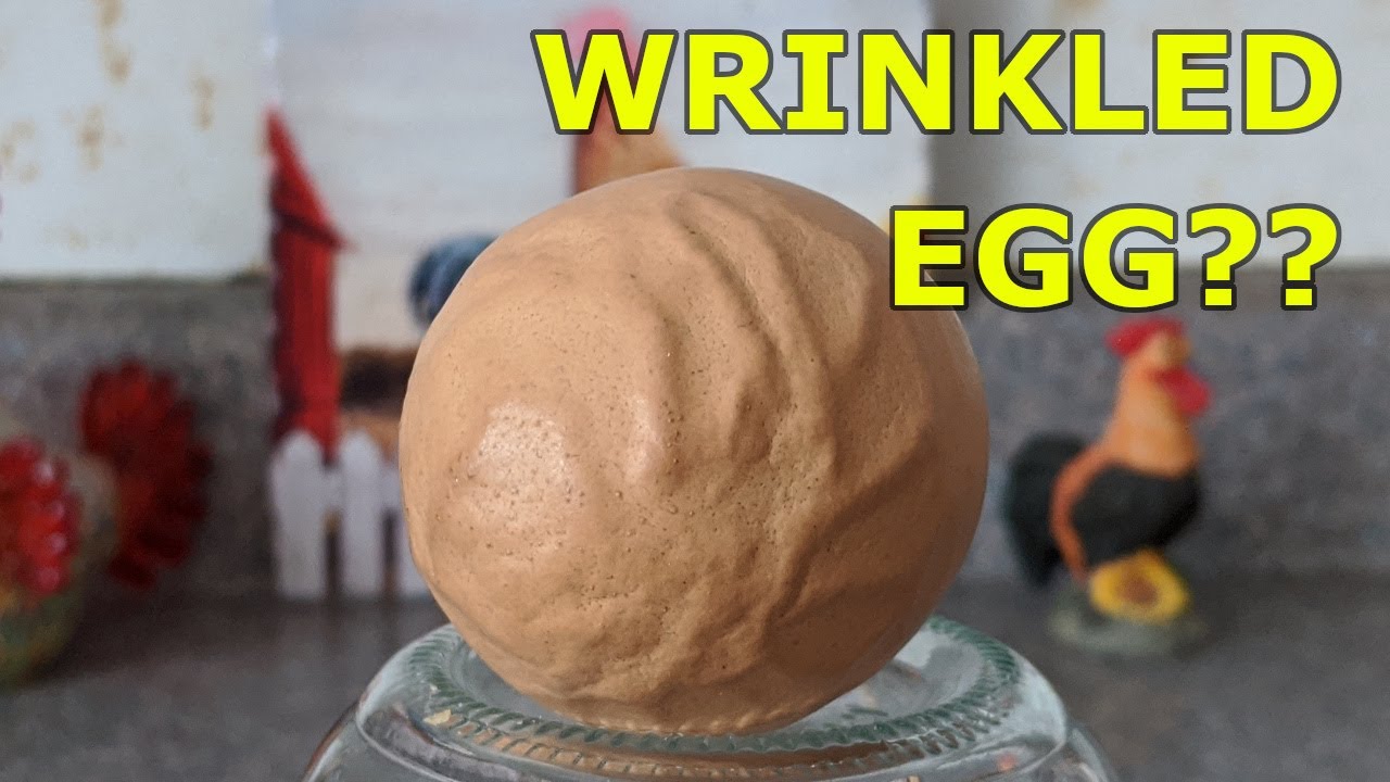 Wrinkled Eggs - Let's Talk About Them And Then Eat It! - YouTube