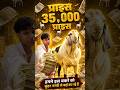 35000 ka bakra 🐐 itna sasta aur itna badhiya itna tagada mini block shot viral videos