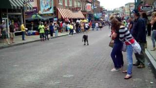 Beale Street Flippers Memphis in May 2010.AVI