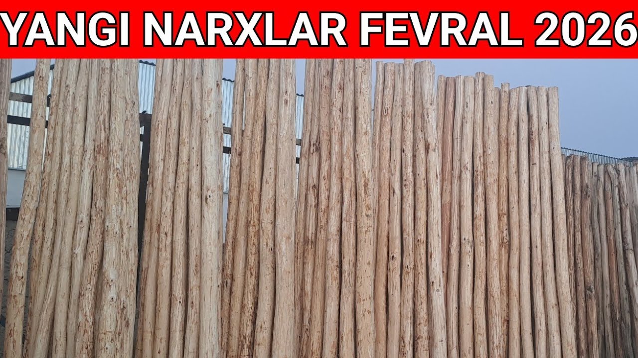 Taxta bozor Terak Narxlari 2026 Optom joyi 