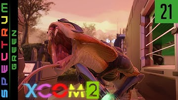 Serial Blacksite Action - Let