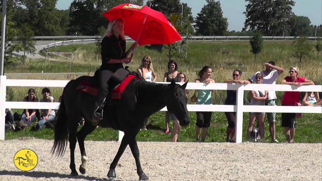 Wer die Menschen kennt... - Impressionen vom RAI-Reiten