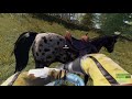 Middle of video
